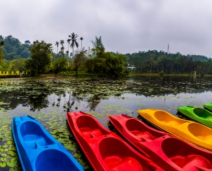 Wayanad